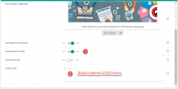 Custom CSS