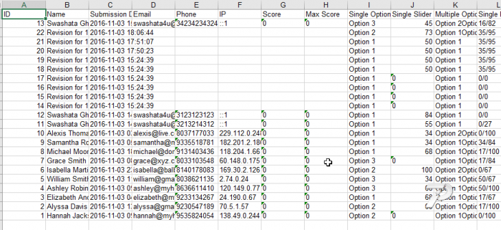 eform-revision-xlsx